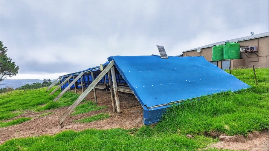 Commercial Property for Sale in Rondevlei Western Cape